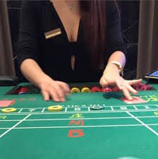 live casino